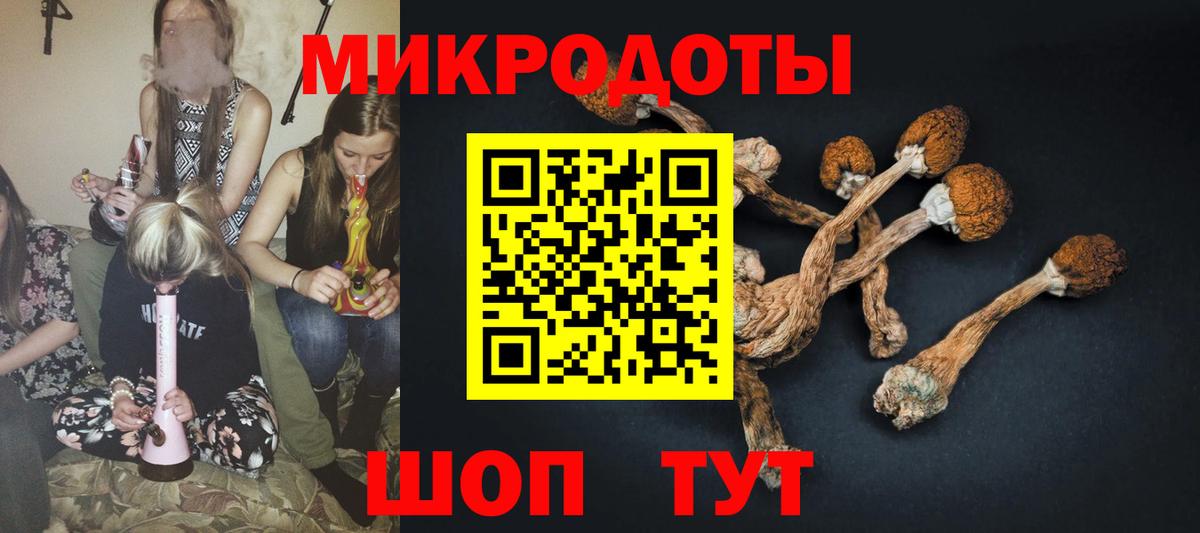 Псилоцибиновые грибы MAGIC MUSHROOMS  Вход с VPN  Усть-Илимск  Псилоцибиновые грибы мицелий 